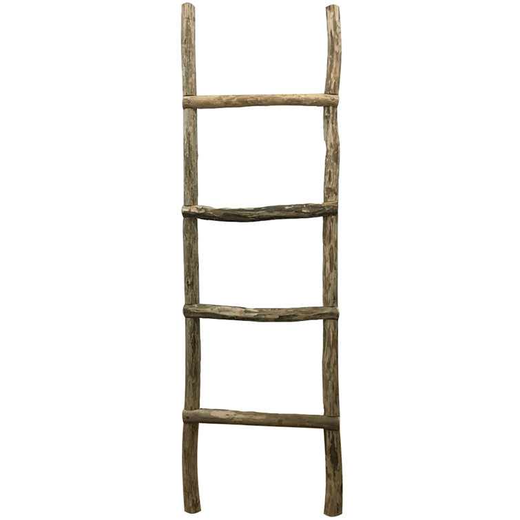 Laurel Foundry Modern Farmhouse 86'' Tall Wooden Blanket Ladder Wayfair
